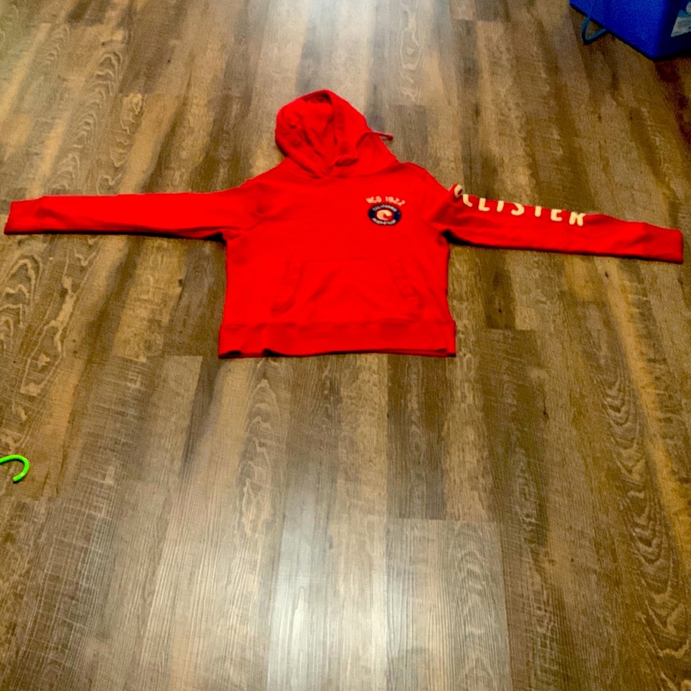 Men’s Hollister hoodie